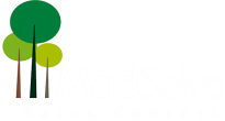 logotipo_madselva