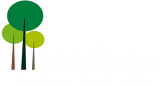 logotipo_madselva